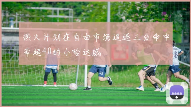 热火计划在自由市场追逐三分命中率超40的小哈达威